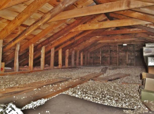 Top Local Crawl Space Company in Prince George Trusted & Reliable