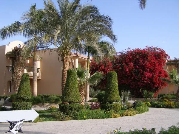 How Travelers Rate the Value of Their Stay in Westgate Resorts Reviews